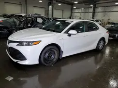4T1C31AK0LU541388 2020 TOYOTA CAMRY