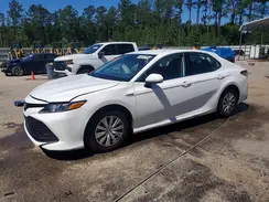 4T1C31AK0LU542203 2020 TOYOTA CAMRY
