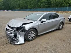 4T1C31AK0NU598614 2022 TOYOTA CAMRY