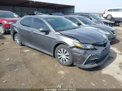 4T1C31AK0PU603264 2023 TOYOTA CAMRY