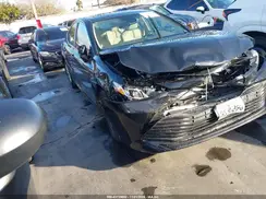 4T1C31AK1LU013455 2020 TOYOTA CAMRY