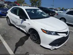 4T1C31AK1LU019403 2020 TOYOTA CAMRY