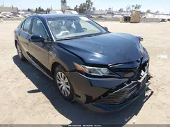 4T1C31AK1LU518296 2020 TOYOTA CAMRY