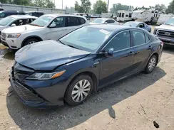 4T1C31AK1LU519044 2020 TOYOTA CAMRY