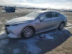 4T1C31AK1LU520274 2020 TOYOTA CAMRY