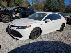 4T1C31AK1LU520811 2020 TOYOTA CAMRY