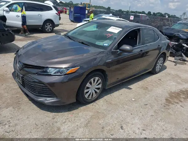 4T1C31AK1LU521280 2020 TOYOTA CAMRY - Image 2