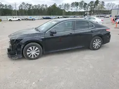 4T1C31AK1LU529704 2020 TOYOTA CAMRY