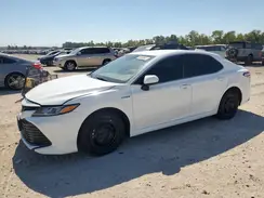 4T1C31AK1LU529993 2020 TOYOTA CAMRY