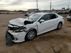 4T1C31AK1LU536569 2020 TOYOTA CAMRY