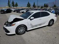4T1C31AK1LU538581 2020 TOYOTA CAMRY
