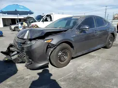 4T1C31AK1LU541819 2020 TOYOTA CAMRY