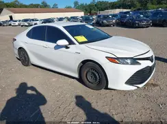 4T1C31AK1LU545353 2020 TOYOTA CAMRY