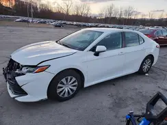 4T1C31AK1LU546051 2020 TOYOTA CAMRY