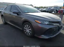 4T1C31AK1LU546177 2020 TOYOTA CAMRY