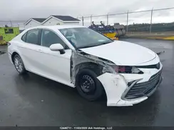 4T1C31AK1MU546696 2021 TOYOTA CAMRY