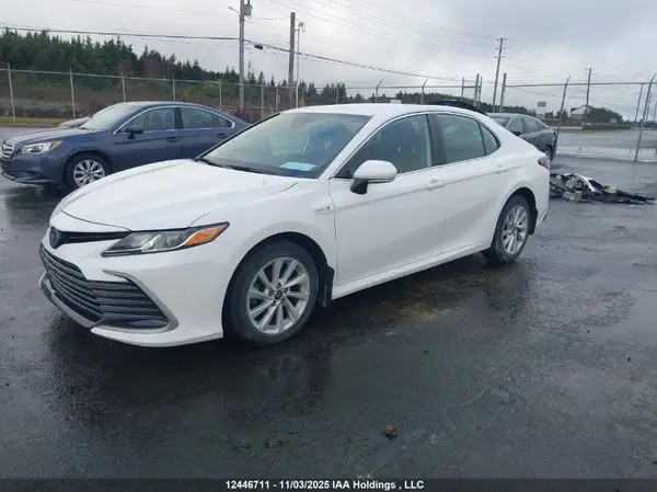 4T1C31AK1MU546696 2021 TOYOTA CAMRY - Image 2