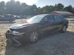 4T1C31AK1MU554667 2021 TOYOTA CAMRY