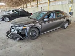 4T1C31AK1MU556354 2021 TOYOTA CAMRY