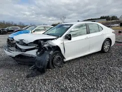 4T1C31AK1MU559190 2021 TOYOTA CAMRY