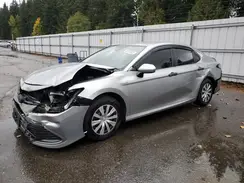 4T1C31AK1MU562624 2021 TOYOTA CAMRY