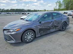 4T1C31AK1MU564003 2021 TOYOTA CAMRY