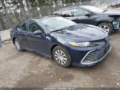 4T1C31AK1MU566656 2021 TOYOTA CAMRY
