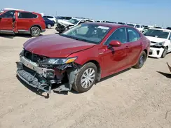 4T1C31AK1MU568245 2021 TOYOTA CAMRY
