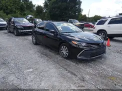 4T1C31AK1NU593549 2022 TOYOTA CAMRY