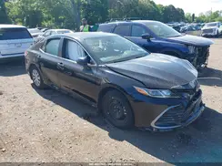 4T1C31AK1PU055453 2023 TOYOTA CAMRY
