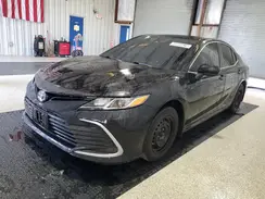 4T1C31AK1PU604312 2023 TOYOTA CAMRY