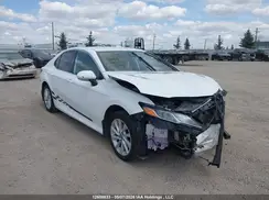 4T1C31AK1PU604326 2023 TOYOTA CAMRY