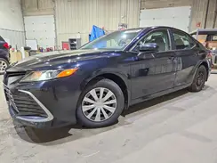 4T1C31AK1PU620624 2023 TOYOTA CAMRY