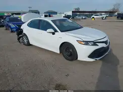 4T1C31AK2LU524656 2020 TOYOTA CAMRY