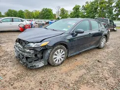 4T1C31AK2LU526505 2020 TOYOTA CAMRY
