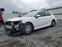 4T1C31AK2LU527105 2020 TOYOTA CAMRY