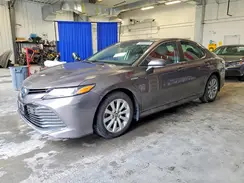 4T1C31AK2LU534006 2020 TOYOTA CAMRY