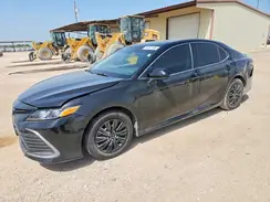 4T1C31AK2PU603816 2023 TOYOTA CAMRY