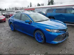 4T1C31AK3LU010766 2020 TOYOTA CAMRY