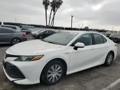 4T1C31AK3LU520941 2020 TOYOTA CAMRY