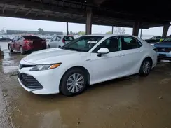 4T1C31AK3LU529137 2020 TOYOTA CAMRY