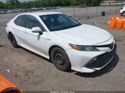 4T1C31AK3LU529834 2020 TOYOTA CAMRY