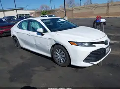 4T1C31AK3LU537366 2020 TOYOTA CAMRY
