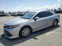 4T1C31AK3LU540137 2020 TOYOTA CAMRY