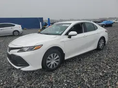 4T1C31AK3LU543295 2020 TOYOTA CAMRY