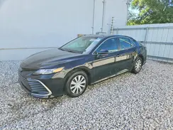 4T1C31AK3NU581287 2022 TOYOTA CAMRY