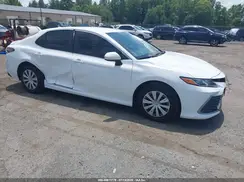 4T1C31AK3PU602951 2023 TOYOTA CAMRY