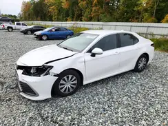 4T1C31AK3PU610368 2023 TOYOTA CAMRY