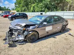 4T1C31AK3PU617434 2023 TOYOTA CAMRY
