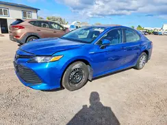 4T1C31AK4LU012736 2020 TOYOTA CAMRY